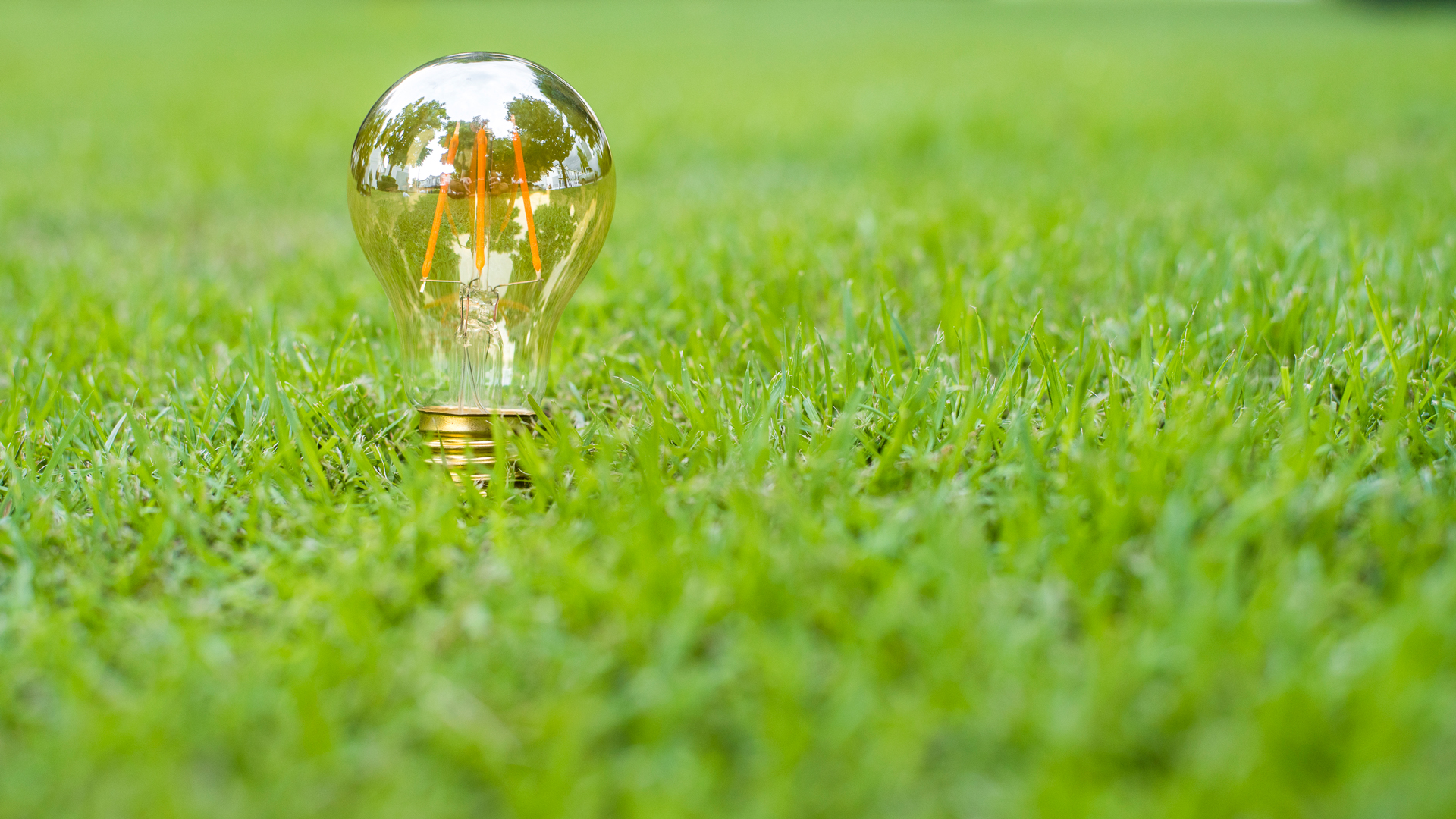 Reduce tu factura energética